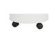 Casters Wheels