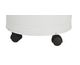 Casters Wheels
