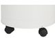 Casters Wheels