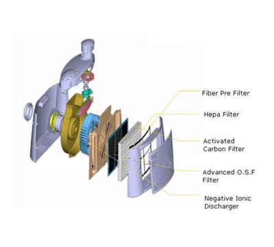 Sectional View