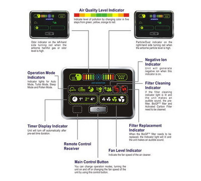 Monitor Sectional View