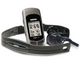 With Strap