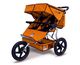 Canyon Orange