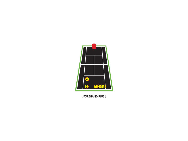 Forehand Plus Program