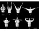 Exercise Instructions