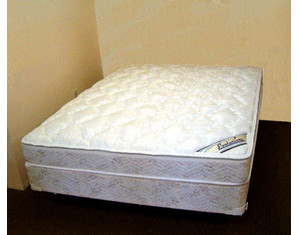 Luxury Support Evolutions Air Bed with Matching Foundation - Fast FREE FedEx Shipping!