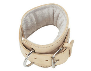 Power Systems Ankle/Wrist Strap