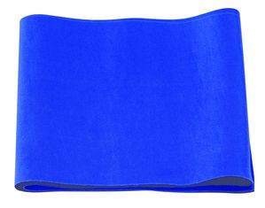 Sunny Health and Fitness Waist Support