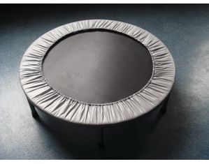 Sunny Health and Fitness 36 inch Mini Trampoline