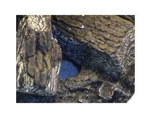 The Outdoor Greatroom Company Decorative Log Set for Crystal Fire Burners