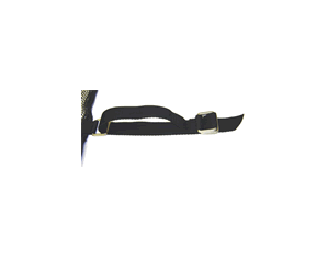 Jumpking Enclosure Double D-Ring Strap - Set of 16 - Fast FREE FedEx Shipping!