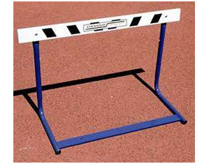 Stackhouse Junior Elementary Hurdle
