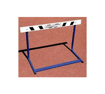Stackhouse_Junior_Elementary_Hurdle.jpg
