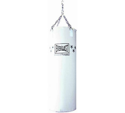 Everlast_Canvas_Heavy_Bag_Punching_Bag.jpg