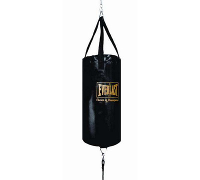 Everlast_Double_End_Martial_Arts_Bag_Punching_Bag.jpg