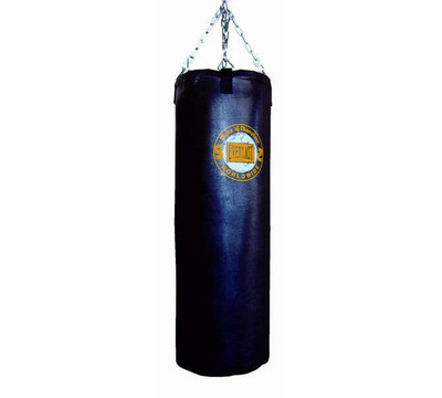 Everlast_Worldwide_Heavy_Bag.jpg