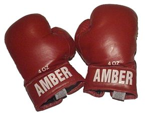 Amber Sports Kids Boxing Bag Gloves