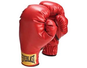 Everlast Laceless Boxing Training Gloves
