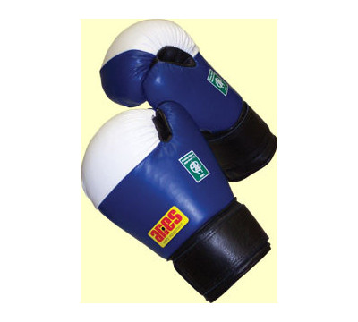 Ariesfightgear Amateur Fight Gloves