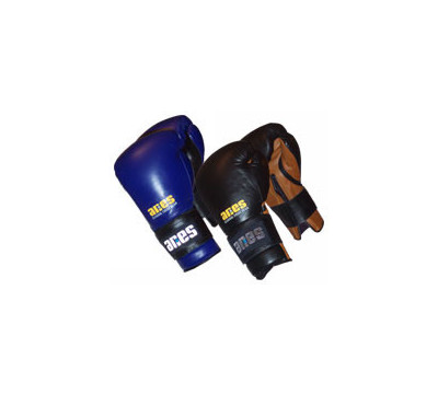 Ariesfightgear Pro Series Super Bag Gloves