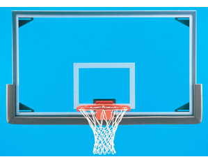 Goal Sporting Goods Official Glass Basketball Backboard
