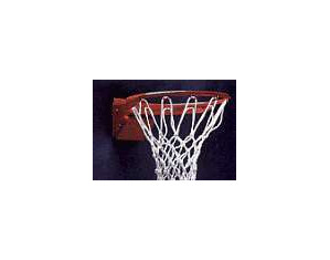 Goal Sporting Goods Competition Breakaway Basketball Rim - Fast FREE FedEx Shipping!