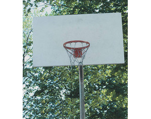Goal Sporting Goods Rectangular Steel Basketball Hoop - FREE Inside Delivery!