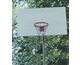 Basketball Hoops 