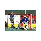 Ice/Roller  Hockey Goals