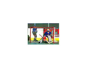 Official Pro Hockey Goal - FREE Inside Delivery!