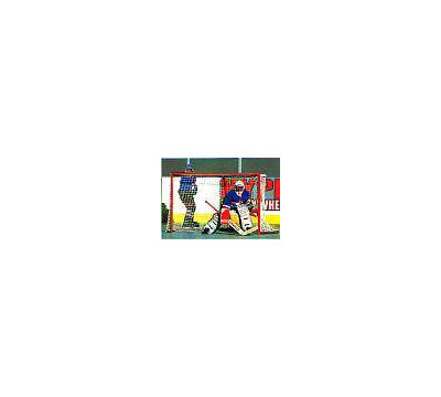 Goal_Sporting_Goods_Official_Pro_Hockey_Goal.jpg