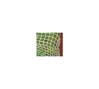 Goal_Sporting_Goods_2_5_mm_Ice_and_Inline_Hockey_Net.jpg