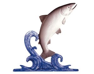 Whitehall 30 inch Trout Weathervane