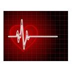 Kettler-ear-clip-pulse-monitor 0 145x145.jpg