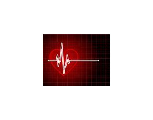 Kettler Ear Clip Pulse Monitor