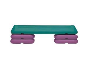 The Step The Step Workout System