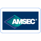 AMSEC  In-Floor Safes