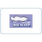 Big Sleep  Futon Covers