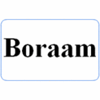 Boraam  Bar Stools