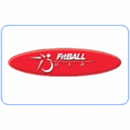 Fitball  Steppers