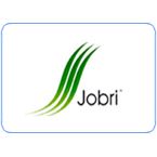 Jobri  Pillows