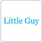 Little Guy  Grills