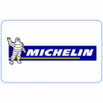 Michelin  Wall Maps