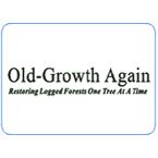 Old Growth Again  Adirondack Settees