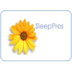 SleepPros  Air Bed Accessories