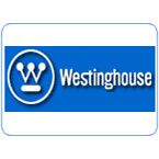 Westinghouse Lighting  Ceiling Fan Lights